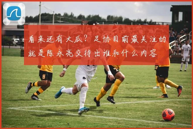 看来还有大瓜？足协目前最关注的就是陈永亮交待出谁和什么内容