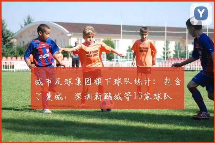 城市足球集团旗下球队统计：包含了曼城，深圳新鹏城等13家球队