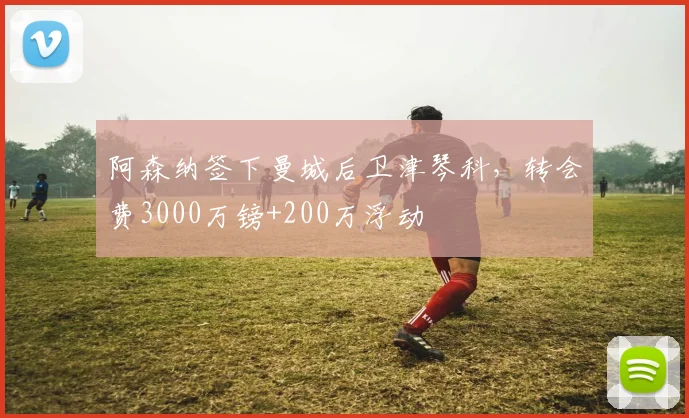 阿森纳签下曼城后卫津琴科，转会费3000万镑+200万浮动