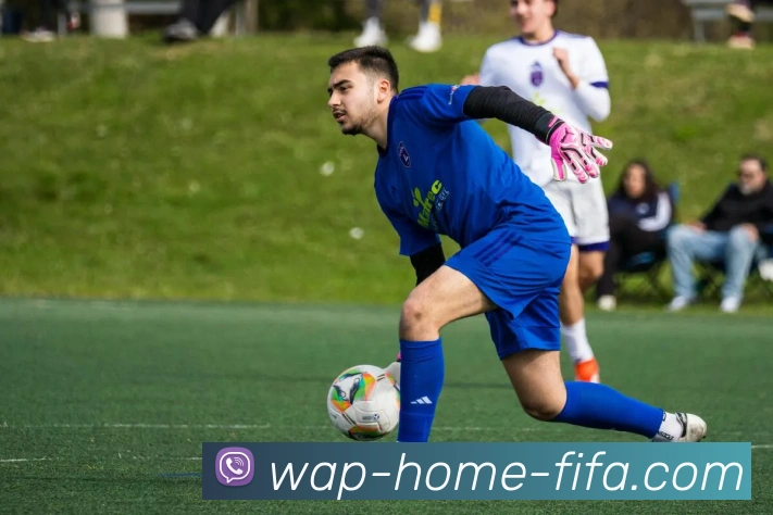 世界杯移动端网站服务体系